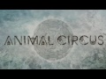 Animal Circus - Shadrack