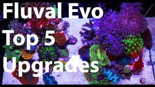 Top Upgrades For Fluval Evo 13.5 Nano Reef Tank