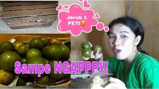 Unboxing kiriman dari KAMPUNG sampe terkejut sangkin banyaknya