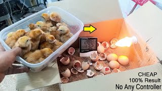 Easy idea to hatch chicks at home without any temperature controller | Homemade cardboard Incubator