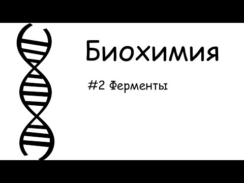 #2_Биохимия ферментов