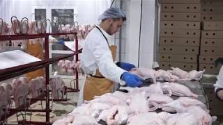 Брюховецкий кролик - сделано на Кубани. Брюховецкий кролик - сделано на Кубани.