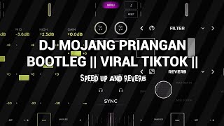 DJ MOJANG PRIANGAN - RAKA REMIXER || VIRAL TIKTOK || SPEED UP AND REVERB