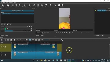 Using a greenscreen with Shot Cut (FREE!)