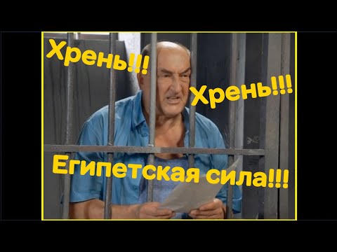 Воронины 'Хрень' и 'Египетская сила'|11 сезон!