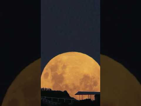 Видео: Есть ли восход и закат луны?
