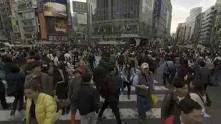 Vr180 3D Scramble Crossing -Shibuya -Walk