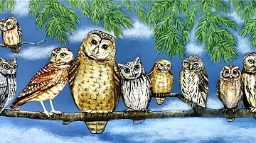 🦉 Forest Owls ... (painting) ... (Gomer Edwin Evans)🦉