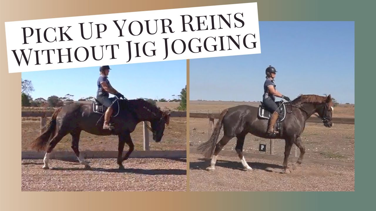 Horse Training How To Stop Jig Jogging When You Pick Up The Reins