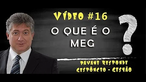 O que é o Modelo de Excelência da gestão MEG )?
