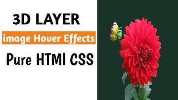 css 3D Layer image hover effects animation purely html and css tutorial 2019