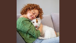 Piano Rain in Pet Harmony