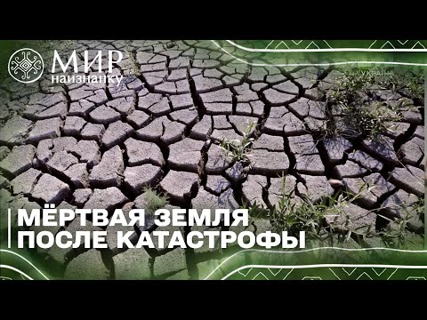 КАТАСТРОФА! Земля превратилась в пустыню на Херсонщине