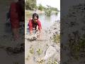 নদীর পাড়ে খালি হাতে মাছ ধরা 😱 Hand Fishing on River Bank Bangladesh 🇧🇩 #instafish #fishlovers #fishy