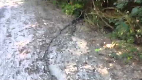 Nancy Today:  Gravel walking whispering Asmr