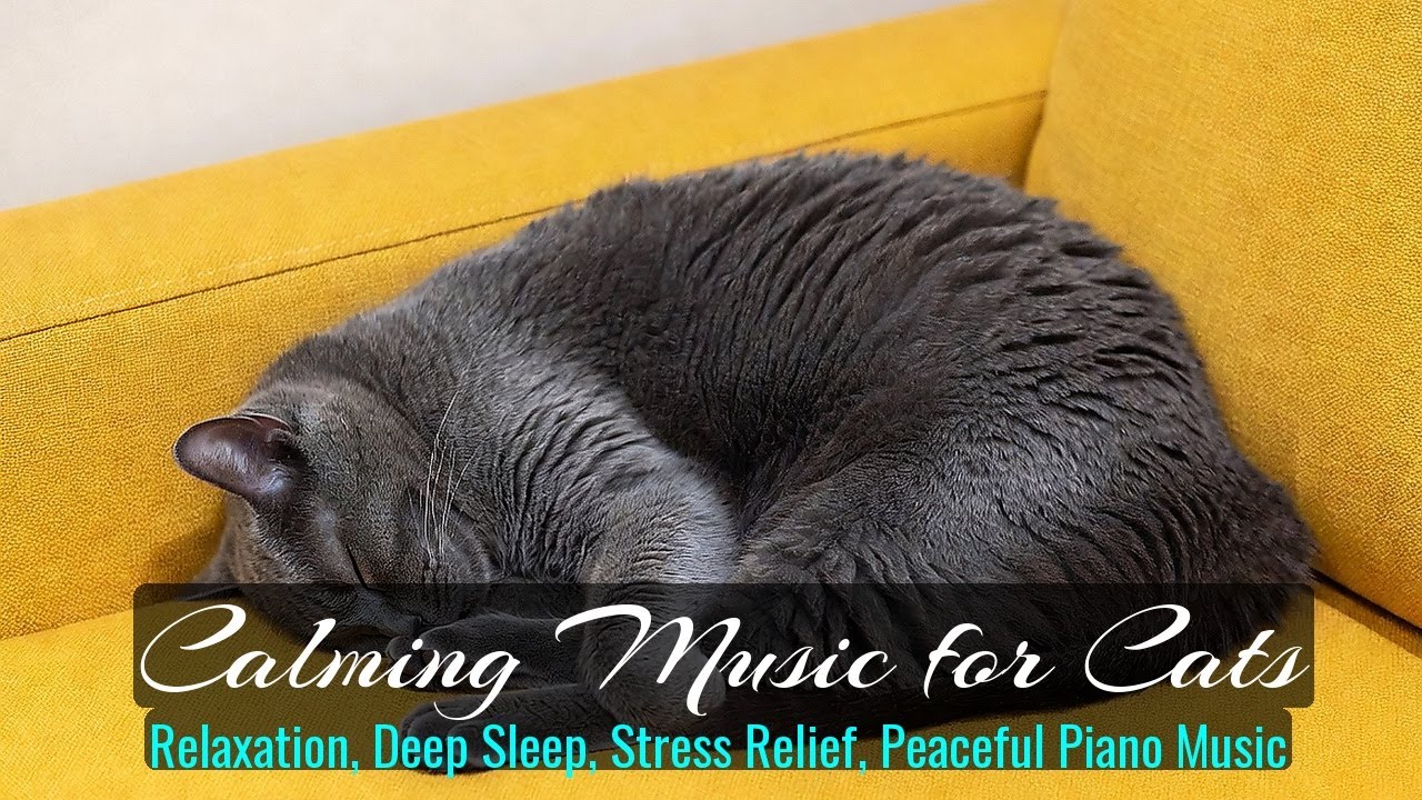 Calming Music for Cats - Relaxation, Deep Sleep, Stress Relief, Peaceful Piano Music | Season 49