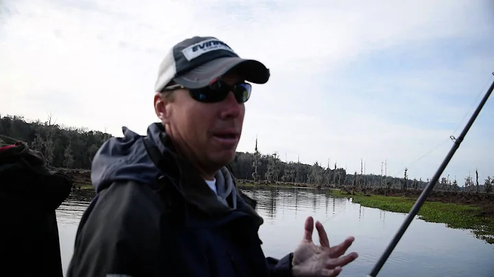 Basics of Flipping and Punching