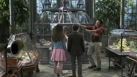 A Series of Unfortunate V-Logs Reptile Room Part 1