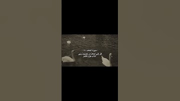 أكتب شي تؤجر عليه. 🌱🤍#سورة_الأنعام #quran