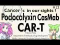 The first PODXL-CasMab CAR-T therapy using clone PcMab-6