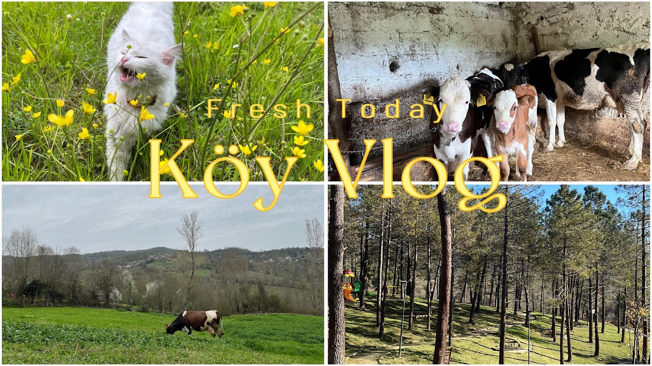 Sessiz Bir Köyde Bir Gün | A Day in a Quiet Village (TR & EN Subtitles)