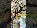 You Should Go To Japan During Cherry Blossom Season #Shorts #Viral #Trending #QuickTips #MustWatch