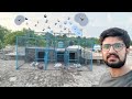 Aaj kabutar fail ho gaee | Mianwali Aseel Murga | pets vlog |