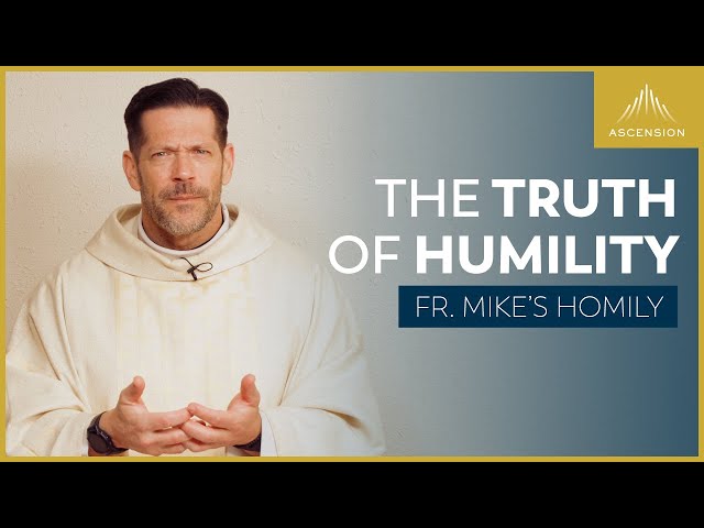 Nunc Coepi: Season of Discouragement | 4th Sunday of Easter (Fr. Mike's Homily) #sundayhomily class=