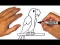 How to draw a parrot for kids  parrot easy draw tutorial