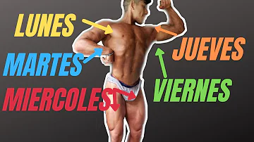 ¿Cuáles son las dos partes del cuerpo que puedes entrenar a diario?