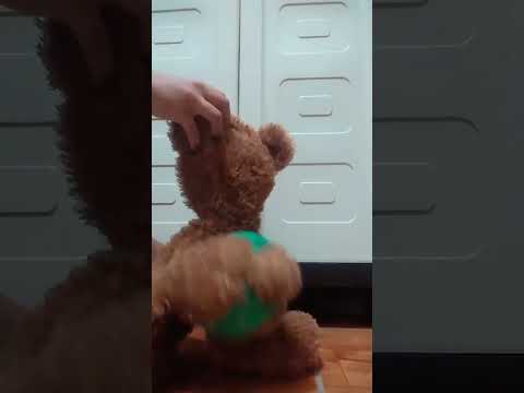 Have you ever seen a twerking bear? 🤣 #shorts #viral tik tok el_oso_del_perreox