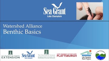 Benthic Basics - Sampling with a kicknet