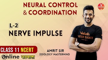 Neural Control And Coordination |Nerve Impulse| 11th NCERT | Neet 2020 | By Amrit Raj Sir