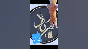 تحت الطلب زياد زياد Funny جوجو Shorts 