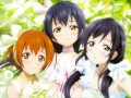 lily white「あ・の・ね・が・ん・ば・れ!」ピッチを下で~