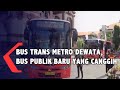 Bus trans metro dewata transportasi publik prov bali yang canggih