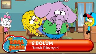 KRAL ŞAKİR: Bozuk Televizyon I 6. Bölüm (Çizgi Film)