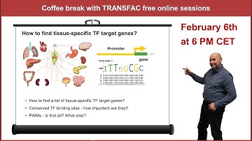 How to find tissue-specific TF target genes