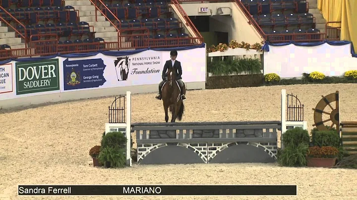 786 MARIANO Sandra Ferrell, Class 92 Green Conform...