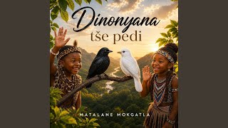 Dinonyana TŠE Pedi