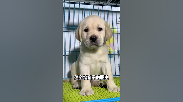 白瓜皮居然可以救狗命，还有人不知道？#养狗经验分享 #狗狗 #科学养宠攻略 #萌宠好物 #养宠进阶指南