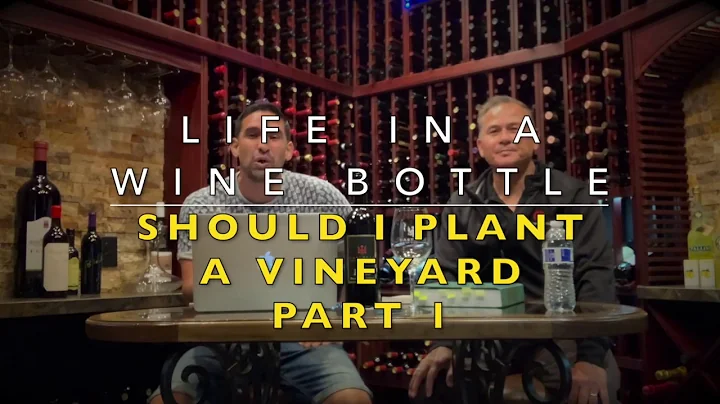 Life In A Wine Bottle - Should I plant a vineyard ...