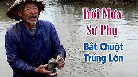 Trời Mưa Bắt Chuột Đồng Sư Phụ U70 Trúng Lớn