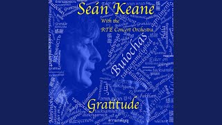 Video thumbnail of "Seán Keane - Somewhere"