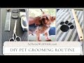 Diy pet grooming routine