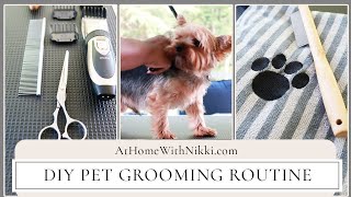 DIY Pet Grooming Routine by At Home With Bentley & Albert 10,575 views 3 years ago 7 minutes, 7 seconds