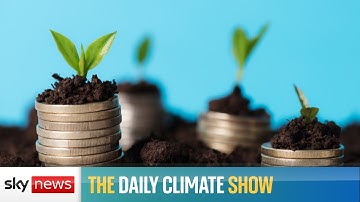 Who is responsible for the cost of going net zero?