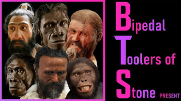 PREHISTORY song by Mr. Nicky