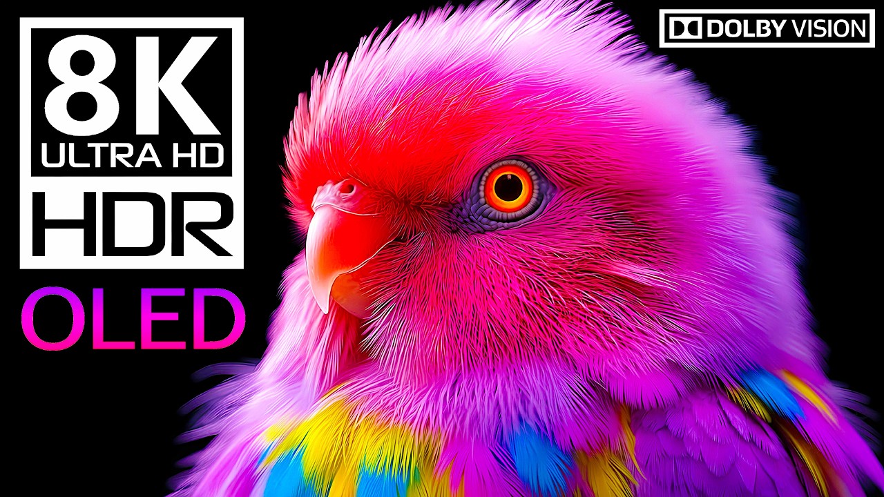 Ultra-Bright Animal Life | 8K HDR 120fps Dolby Vision | OLED Test