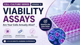 MTT Assay, Trypan Blue & IC50 Explained | Cell Culture | Ep. 12 MTT Assay, Trypan Blue & IC50 Explained | Cell Culture | Ep. 12